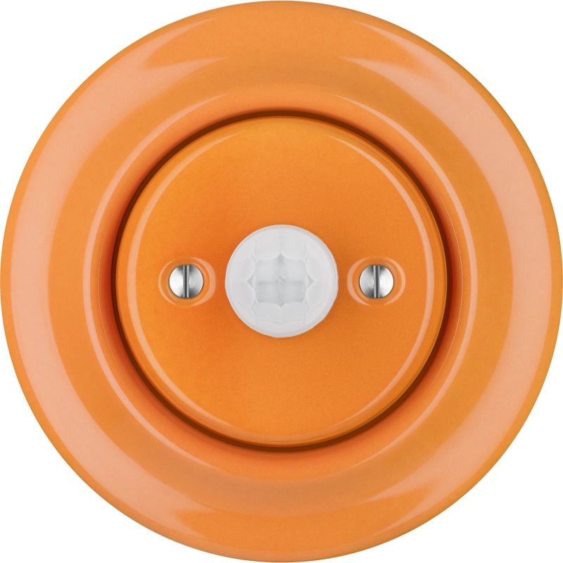 CAROTA