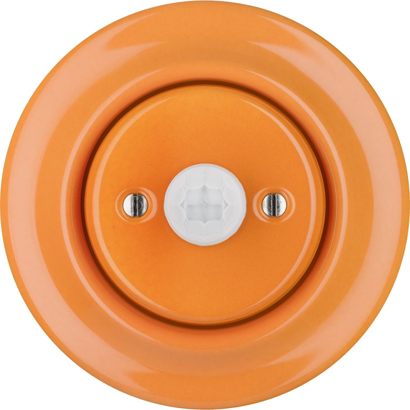 CAROTA