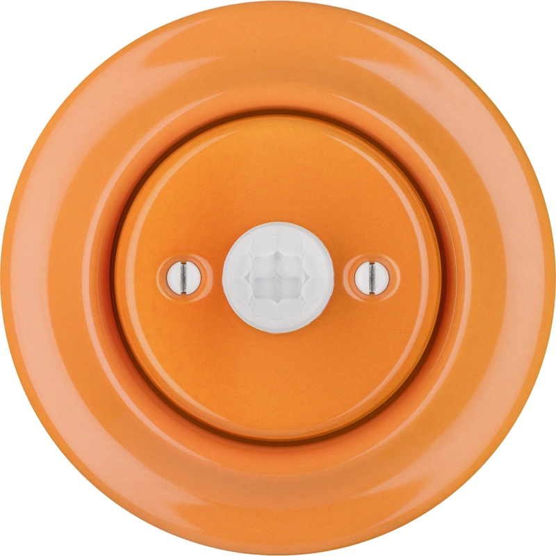 CAROTA
