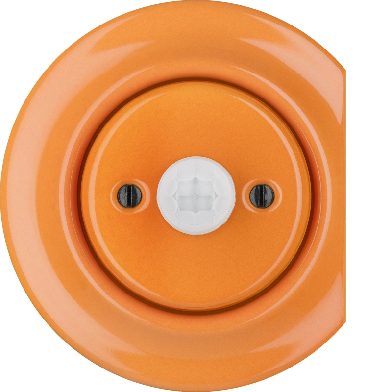 CAROTA