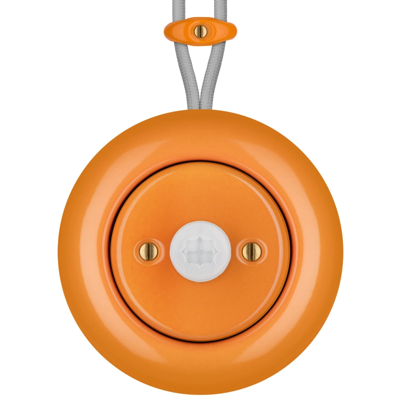 CAROTA